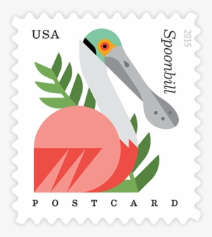 With The Release Of The Coastal Birds Postcard Stamps,
