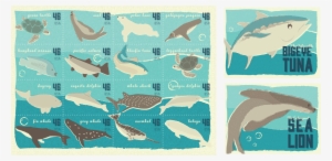 Endangered Sea Life Stamp & Postcard Project - Shark