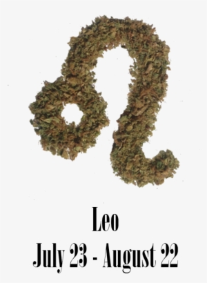 Stoner Leo Monthly Horoscope - Leo Weed