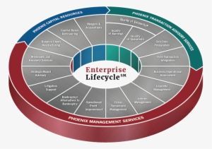 Enterprise Lifecycle Wheel - Management