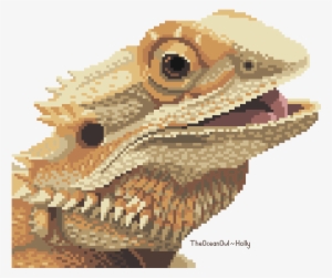 Download Png Image Report - Bearded Dragon