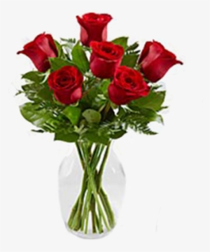 Half Dozen Long Stemmed Roses - Flower Bouquet