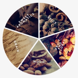 The Flavors - Wood - Coffee Flavour Wheel Nuts