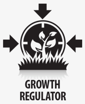 Growth-regulator - Plant Growth Regulator Icon