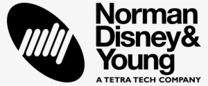 Client Profile - Norman Disney Young Logo Png