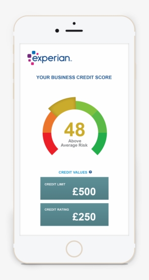 Check And Improve Your Business Credit Score - Graphic Design