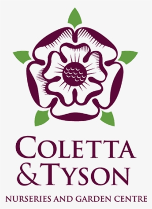 Colleta Tyson Logo 676×447 - Colleta And Tyson Logo