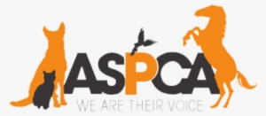 Aspca Organization