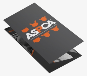 Final Mockup 1 Web