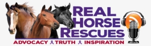 Real Horse Rescues - Vsport Bone Conduction Headphone Adjustable Foldable