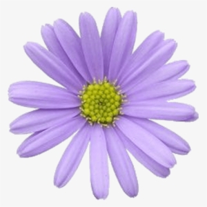 Flower Violet Pastel