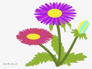Aster Raster Picture - Рисунок Астра