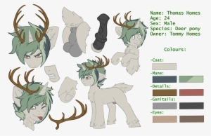 Antlers, Anus, Artist - Horn Reference