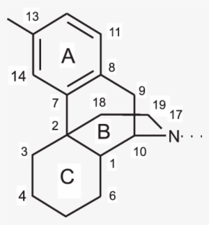 Structure And Numbering System Of Dmp For, C, N And - 3 4 Dichlorophenol Nmr