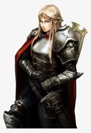 Female Character Concept, Female Character Inspiration, - Dnd Female Human Paladin