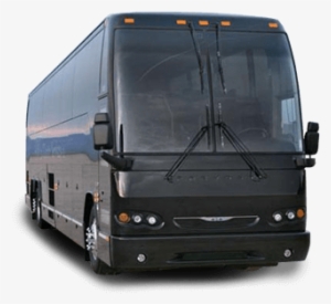 35 Passenger Charter Bus - Bus
