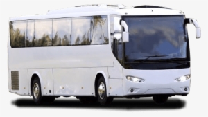 30 Passenger Charter Bus - Bus