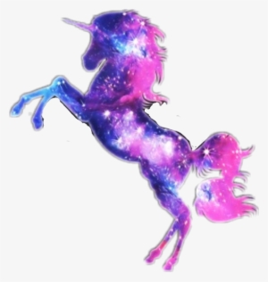 Unicorn Rainbow Galaxy Space Gay Fantasy Tee Shirts Transparent