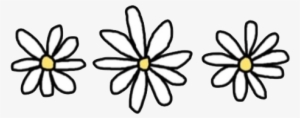 Flowers, Daisy, And Tumblr Image - Transparent Daisy