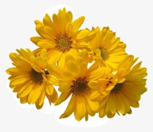 Freetoedit Flower Daisy Filler Aesthetic Tumblr - Yellow Flowers Transparent Background