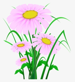 Transparent Pink Daisies Png Clipart - Картини С Цветя И Пеперуди