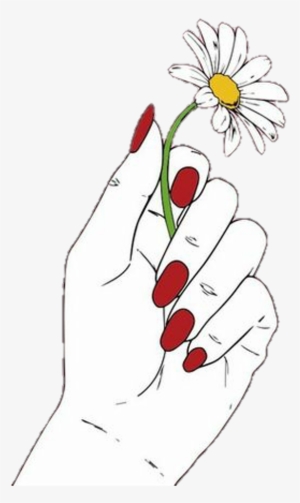 Hand Holding Flower Drawing