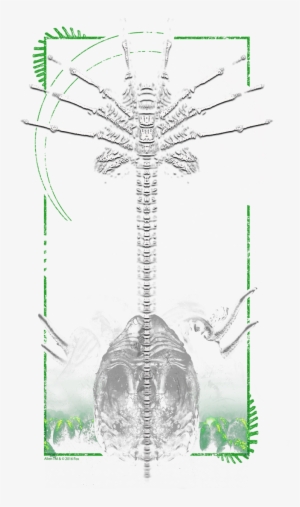 Alien Facehugger Men's Tall Fit T-shirt - Sketch
