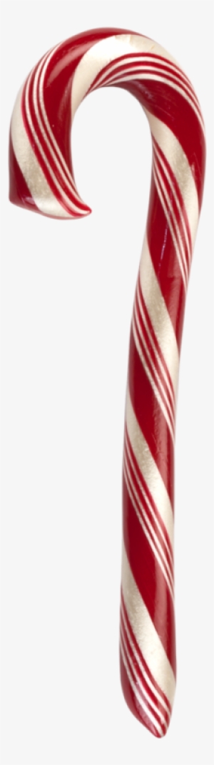 Best Pics Of Candy Canes Natural Cinnamon Cane Hammond - Candy Cane