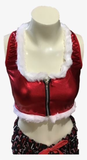 Sexy Santa Top Xs Nwt Adult Costume - Naughty Miss Santa Costume