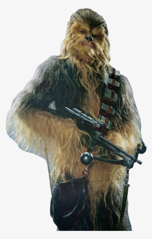 A Cardboard Cutout Of Chewbacca That Has Made Appearances - Chewbacca Of Star Wars