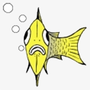 Us Fish Finder - Coral Reef Fish