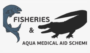 Fish Logo - Medicine