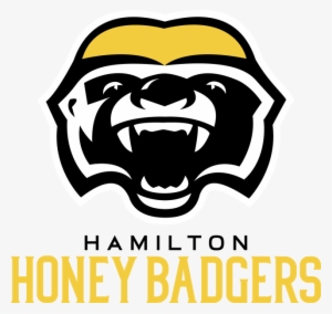 The Honey Badger Is Strong, Tough, Intelligent, Persistent, - Hamilton Honey Badgers