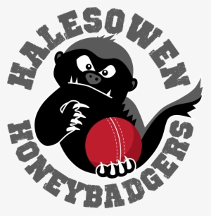 Cropped Halesowen Honey Badgers Grey - Illustration