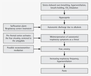 Panic Attack Mechanisms - Science