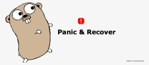 Golang Panic And Recover - Way To Go: A Thorough Introduction