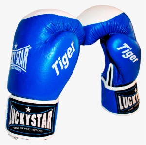 Lucky Star Boxing Gloves Leather “tiger” Blue - Professional Boxing