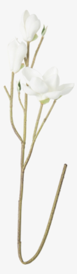White Java Cotton Artificial Flower S$12 - Owl