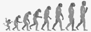 Evolution Clip Art Images Free Clipart - Evolution Of Life And Form: Four Lectures Delivered