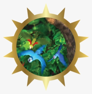 Golden Badge - Rainforest - Rio