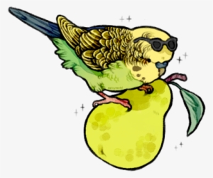 Parakeet On A Pear With A Pair Of Sunglasses - Cartoon