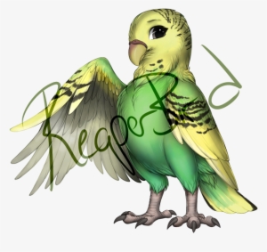 Female Green Budgie - Portable Network Graphics