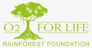 Rainforest Foundation Fund