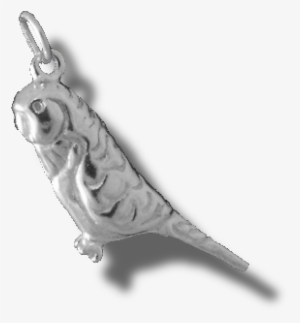 Sterling Silver Budgie Charm [031] - Silver