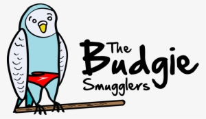 The Budgie Smugglers - Every Thing Will Be Fine Quotes