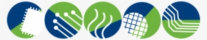 Color Png - Circle