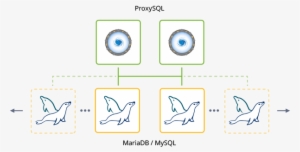 Mysql Group Replication Multi Primary - Diagram