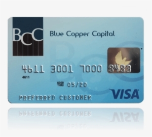 Prepaid Visa Card - Visa Credit Card 2011