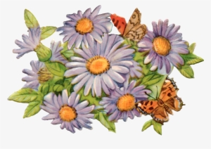 Lovely Lavender Flowersmaybe Daisies - Portable Network Graphics