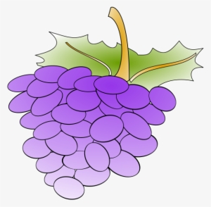 Grapes Png Images